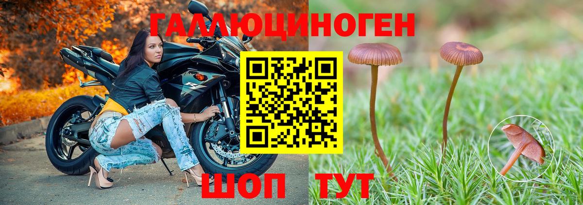 Липецк  Псилоцибиновые грибы ЛСД  Вход с VPN 