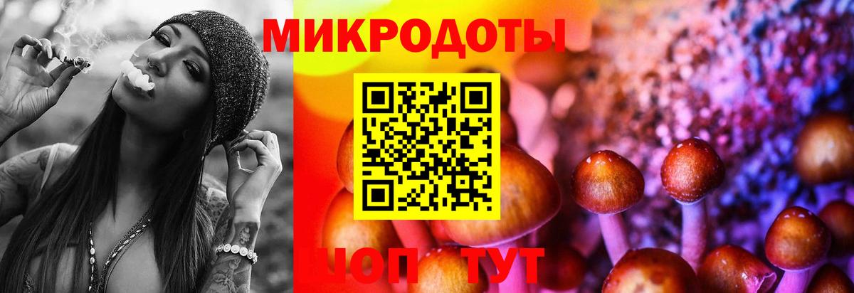 Псилоцибиновые грибы прущие грибы Липецк